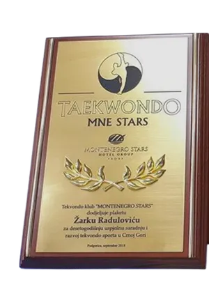 Plaketa za Taekwondo klub MNE STARS